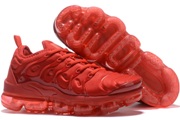 Air VaporMax Plus TN 009